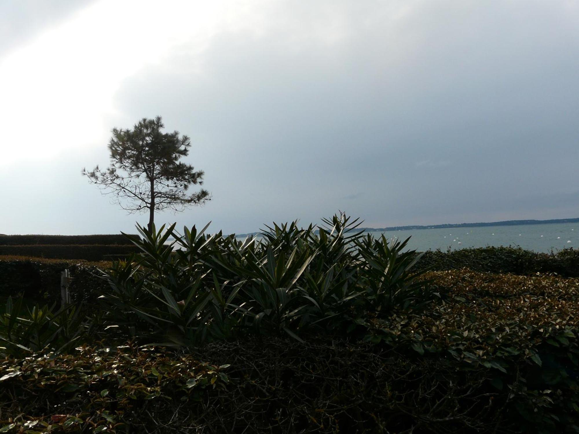 Arcachon Pereire Bord De Plage Ngoại thất bức ảnh